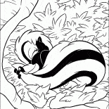 Skunk on vacation