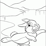 Hare on an ice