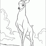 Forest King