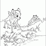 Bambi and the Frog