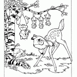 Opossums and Bambi