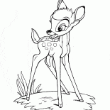 Bambi in the Meadow