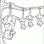 Opossums in waiting