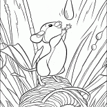 Forest Mouse