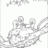 Nest with chicks