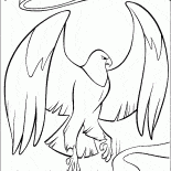 Eagle Guardian