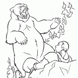 Bear attacks