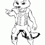 Creative raccoon