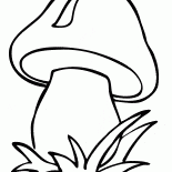 Mushroom