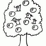 Apple tree