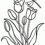 Tulips