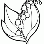 Lily of the valley