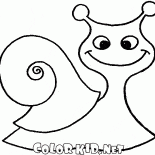 Snail on the walk