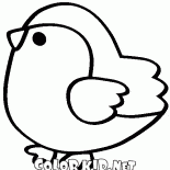 Bird titmouse
