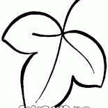 Oak Leaf