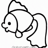 Small fish