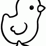 Spring chicken