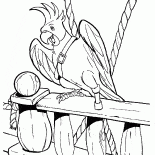 Flints Parrot