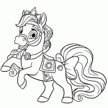 Pony Star