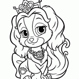 Puppy Little