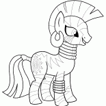 Zekora - Stylist