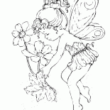 Baby Fairy