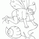 Fairy snail