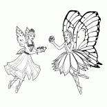 Mariposa and Catania