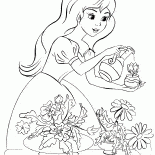 Princess waters flowers