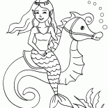 Mermaid and seahorse