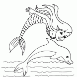 The Mermaid and the Dolphin