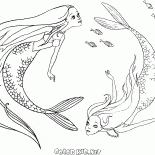 Mermaids swimming