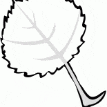 Aspen leaf