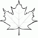 Maple leaf falls