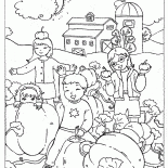 Pumpkin in the garden