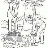 Cleaning of fallen leaves