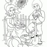 Harvest vegetables
