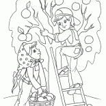 Harvesting of spring