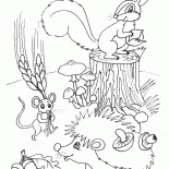 Animals do stocks