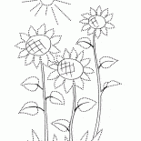 Sunflowers