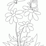 Butterfly on a flower