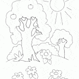 Trees in the summer