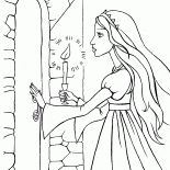 Secrets of the castle