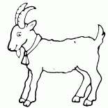 Goat - a symbol of the year