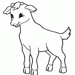 Tiny goat