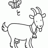 Goat with a bell around his neck