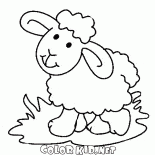 Sweet Lamb