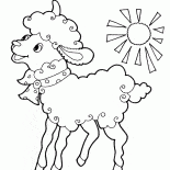 Sheep with bow
