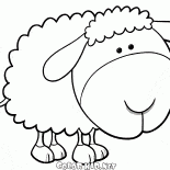 Toy sheep