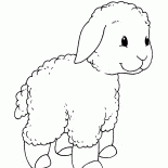 Little lamb on a walk